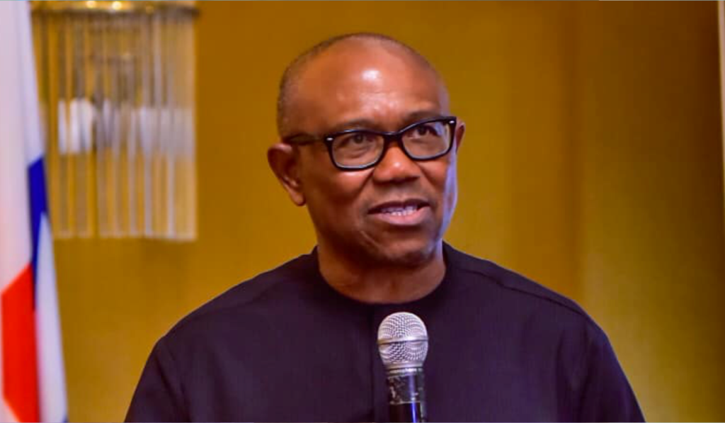 Peter Obi Economics