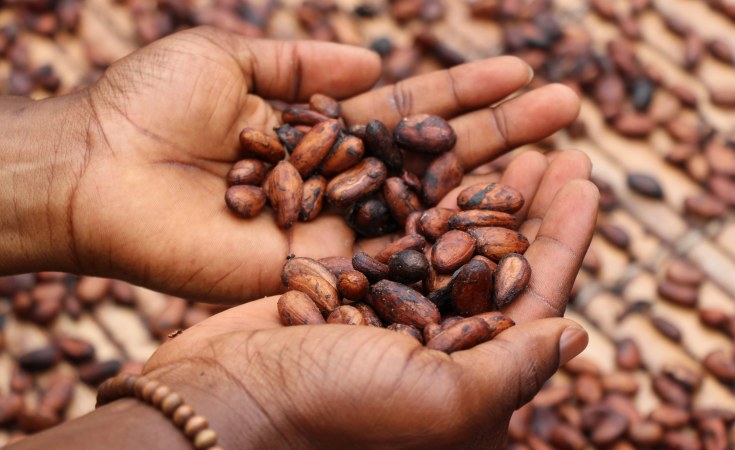 Nigeria Cocoa Demand