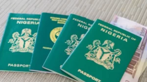 Nigerian Passport Fees