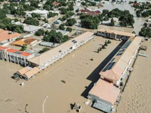 Borno Floods