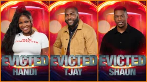 Big Brother Naija “No Loose Guard” triple eviction