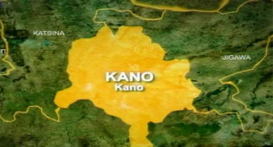 Kano Local Government elections