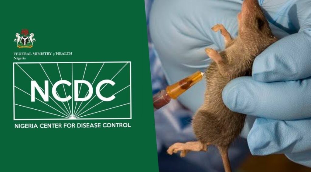 Lassa fever Nigeria 2024