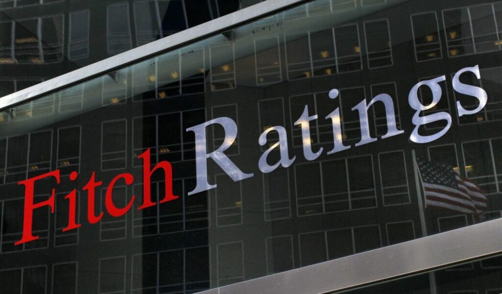 Fitch non-performing loans