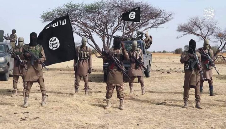 ISWAP Boko Haram Insurgents