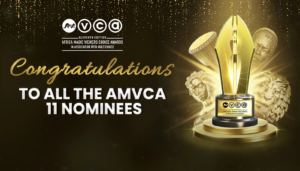 AMVCA 2025 Nominees