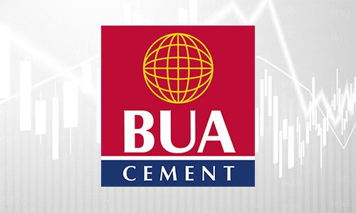BUA Cement Revenue 2024