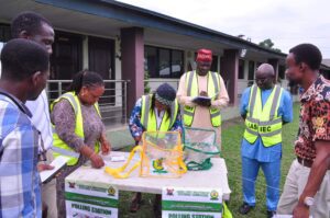 Lagos local government election