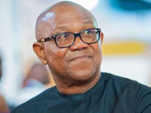 Peter Obi Coalition