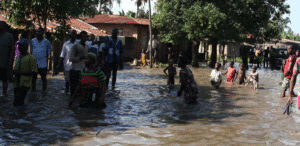Oguta Imo State