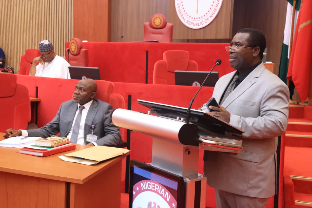 Amupitan INEC Senate