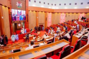 National Assembly Borrowing
