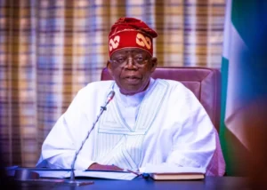 FG Domestic debt