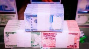 Naira Dollar independence day